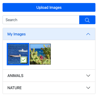 Image Search Bar