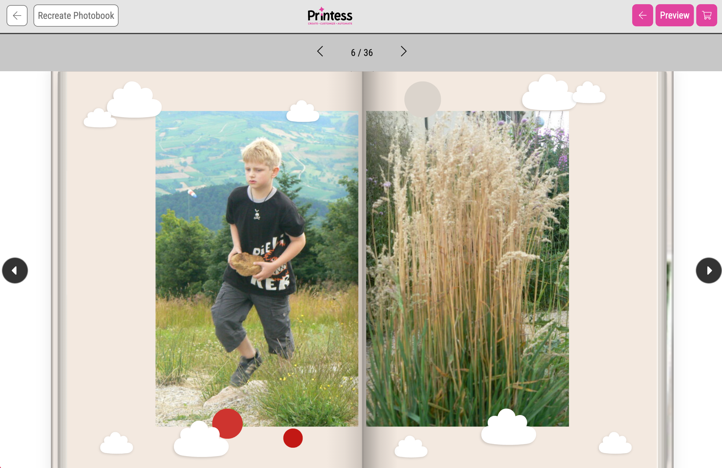Show Page Flip Preview