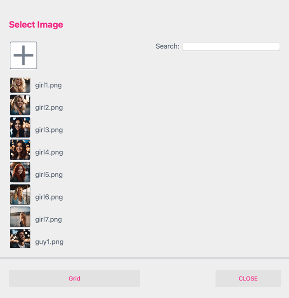 Face Swap Image Selection Editor