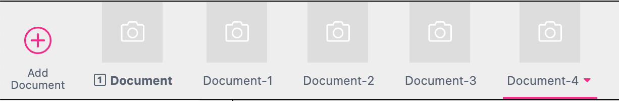 Document Duplicates