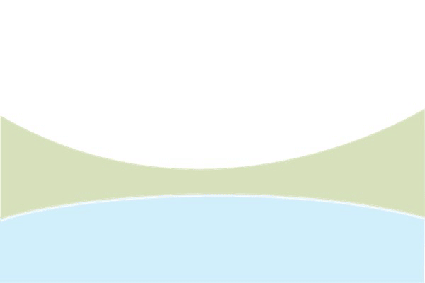 Image of Frog Animation Product